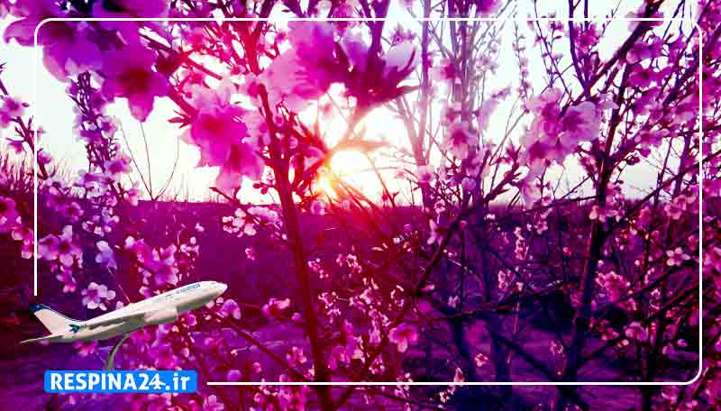 بلیط هواپیما لامرد مشهد